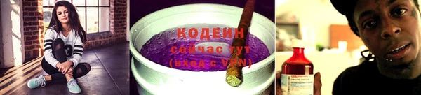 прущие крисы Медвежьегорск