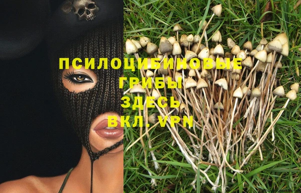 спиды Медногорск