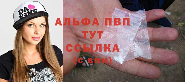 прущие крисы Медвежьегорск